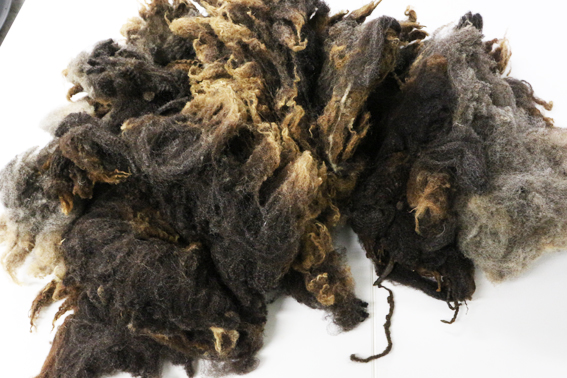 岡本昌子先生講座写真