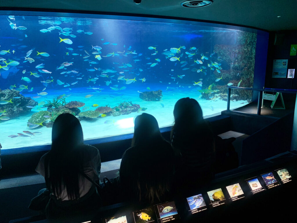 早稲田国際ビジネスカレッジ 観察写真